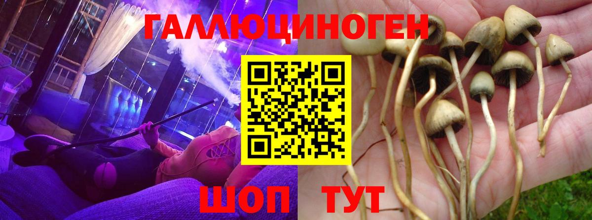 магазин продажи наркотиков  Псилоцибиновые грибы Cubensis  Вход с VPN  Псилоцибиновые грибы Cubensis  Жуковский 